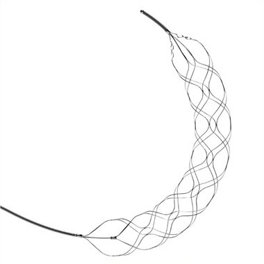 Thiết bị lấy stent